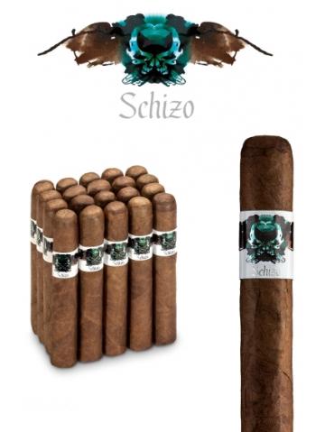 Asylum Schizo Maduro Robusto 50x5