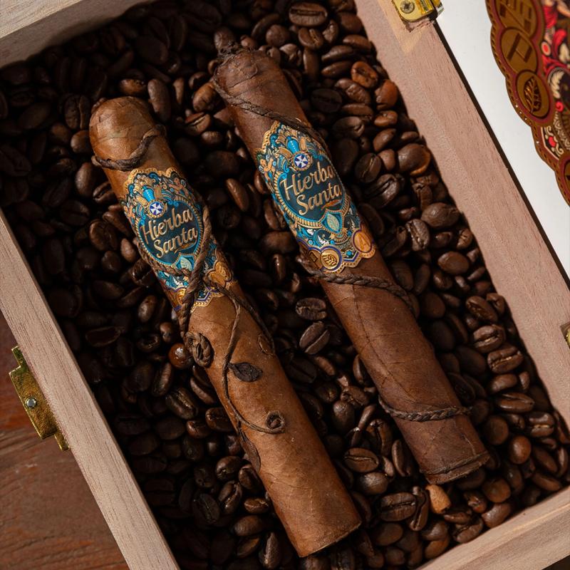 Hierba Santa Oceano Robusto 50x5